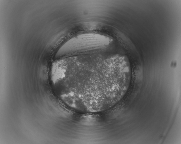 X0000110760558200907131213