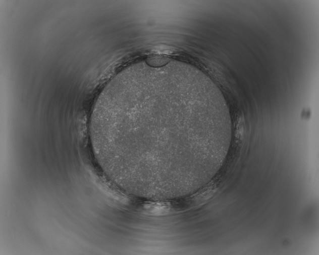 X0000110760559200907131213