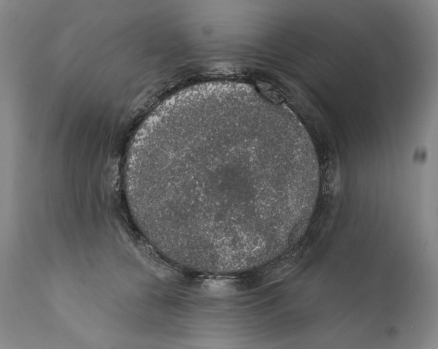 X0000110760560200907131213