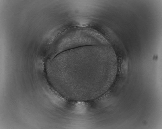 X0000110760562200907131213