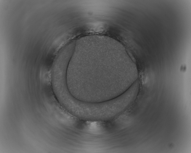 X0000110760564200907131213