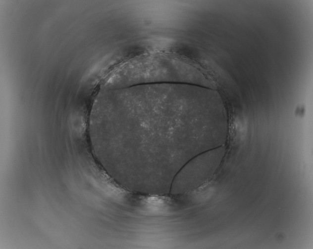 X0000110760566200907131213