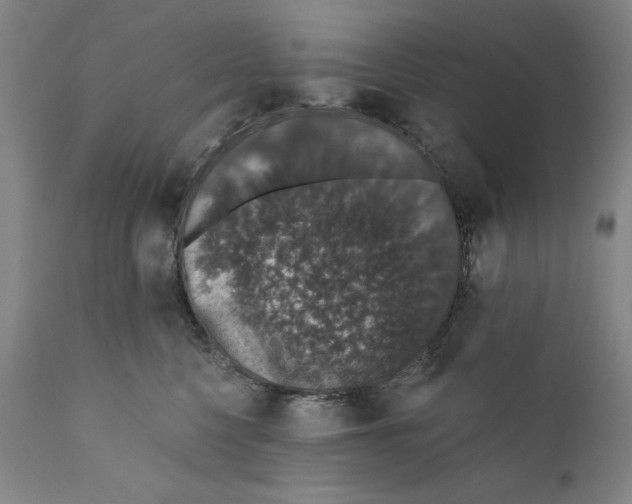 X0000110760568200907131213