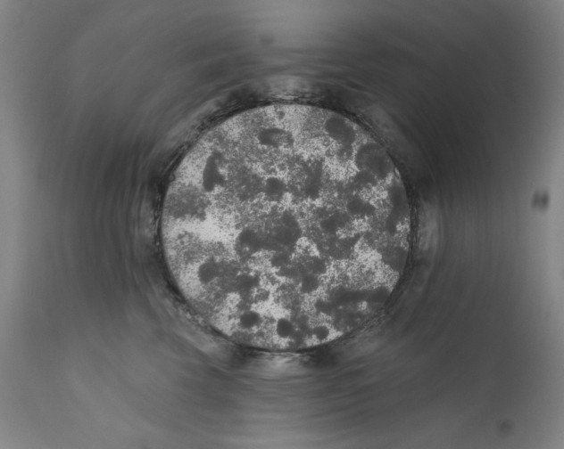 X0000110760569200907131213