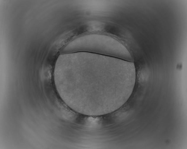 X0000110760570200907131213