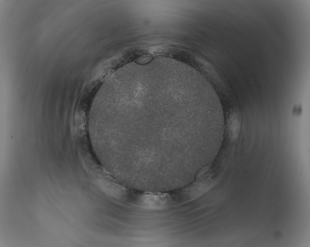 X0000110760571200907131213