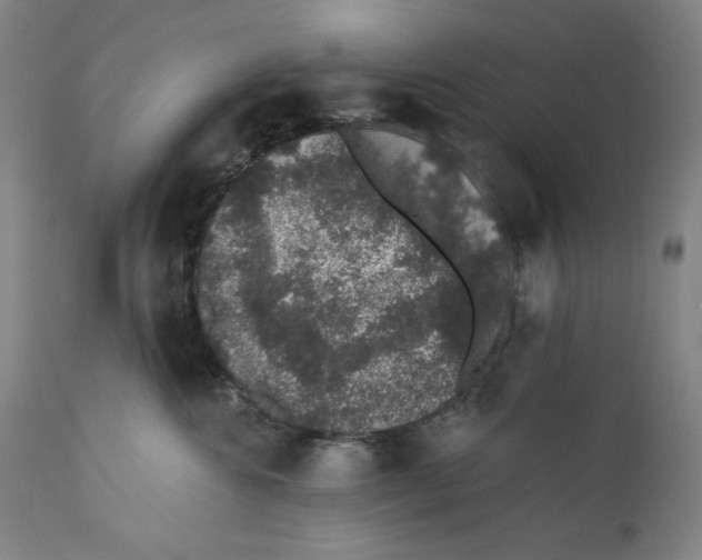 X0000110760572200907131213