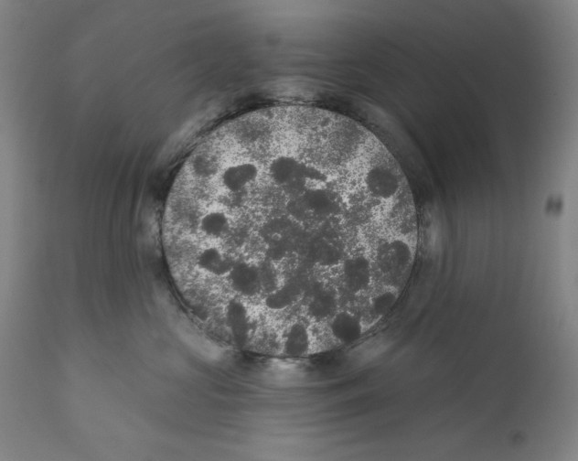 X0000110760573200907131213