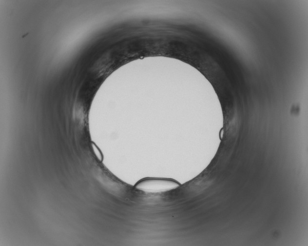 X0000110760574200907131213