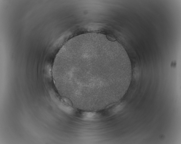 X0000110760575200907131213