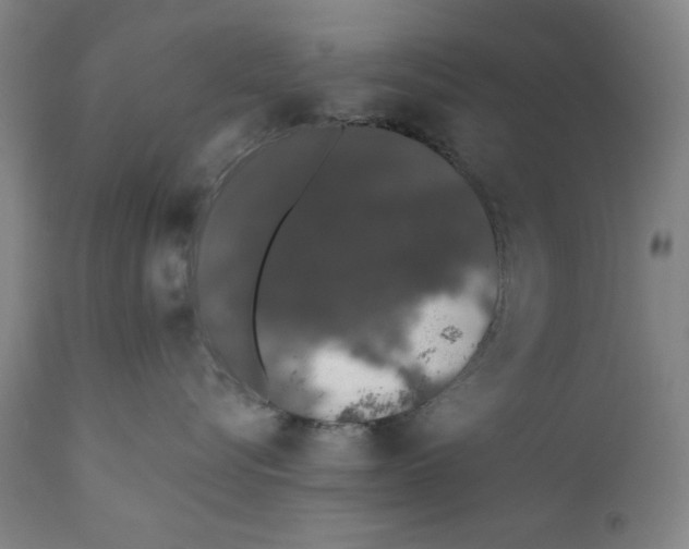 X0000110760576200907131213