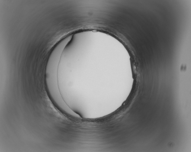 X0000110760577200907131212