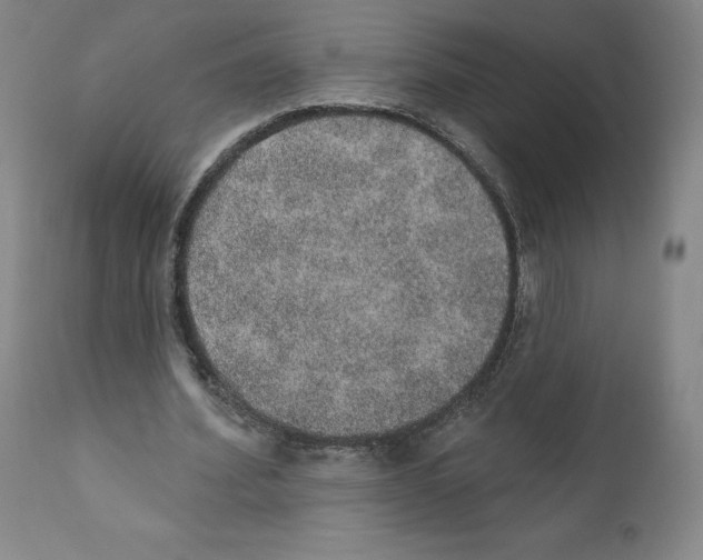 X0000110760580200907131212