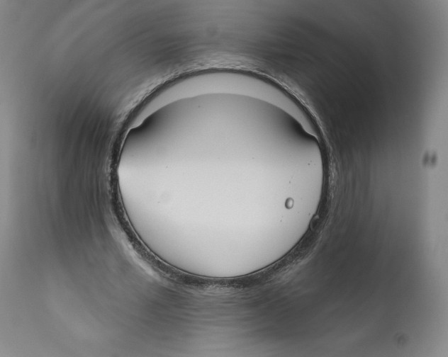 X0000110760581200907131212