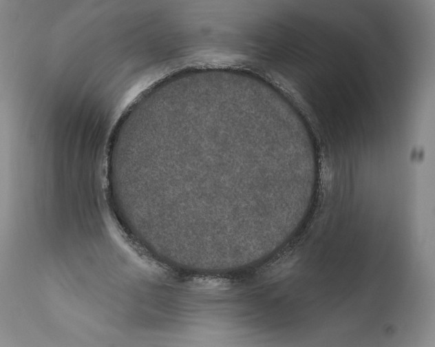 X0000110760582200907131212