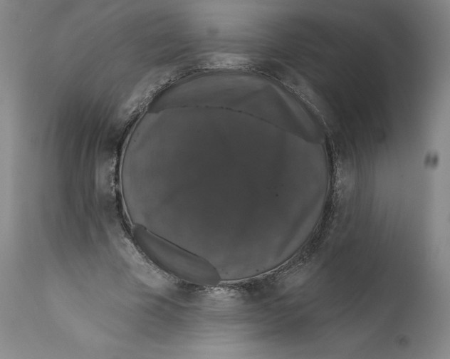 X0000110760585200907131212