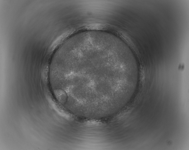 X0000110760586200907131212