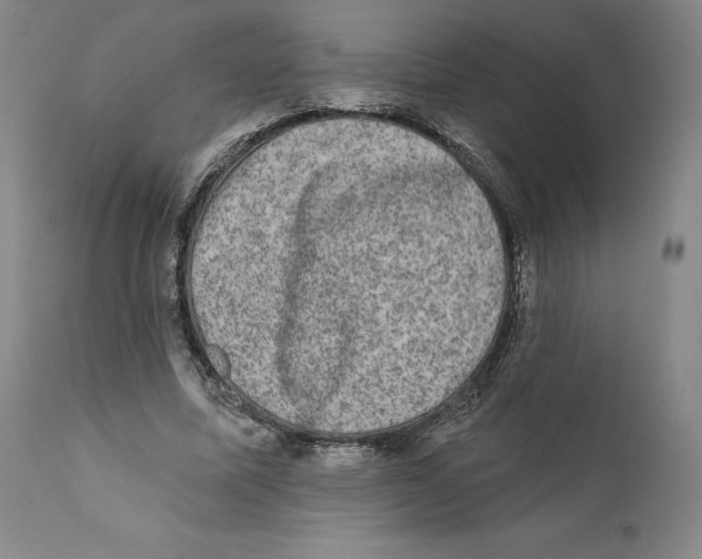 X0000110760587200907131212