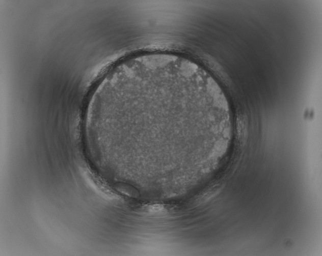 X0000110760588200907131212