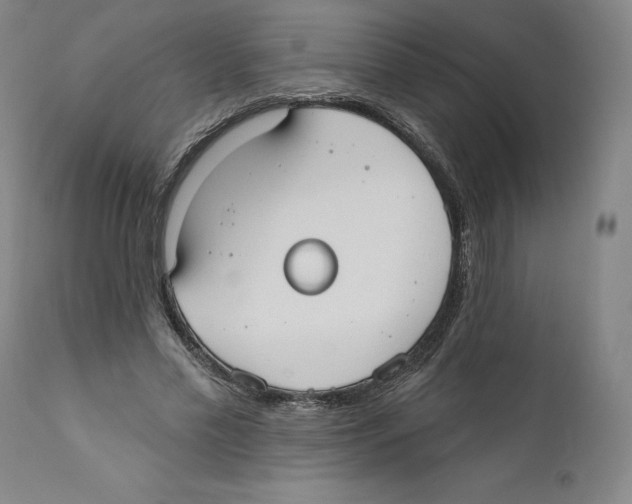 X0000110760589200907131212