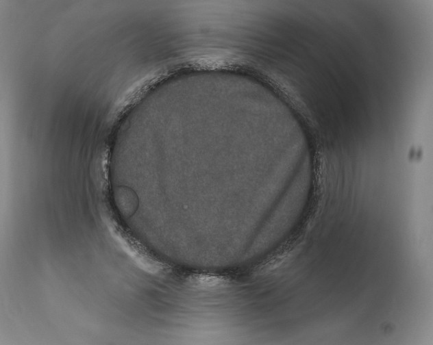 X0000110760590200907131212