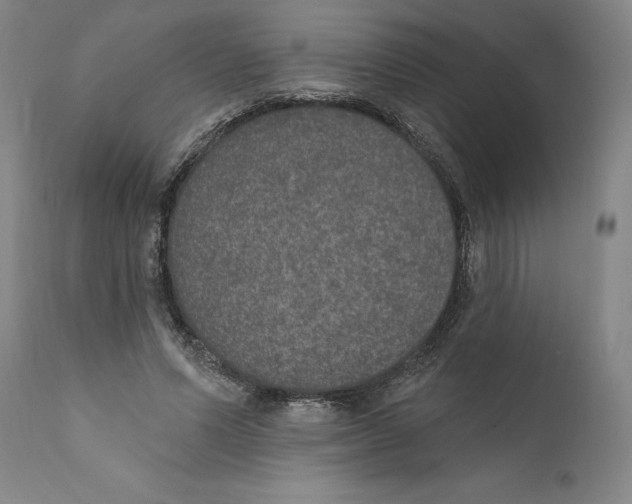 X0000110760591200907131212