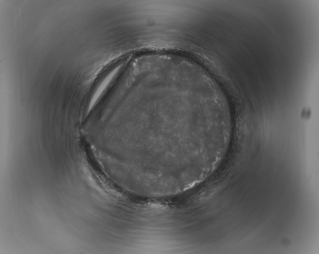 X0000110760592200907131212