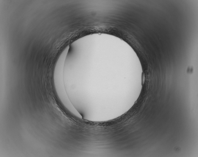 X0000110760593200907131212