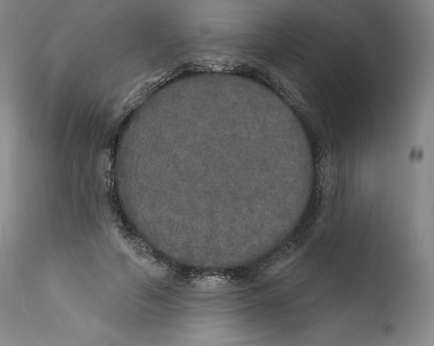 X0000110760594200907131212