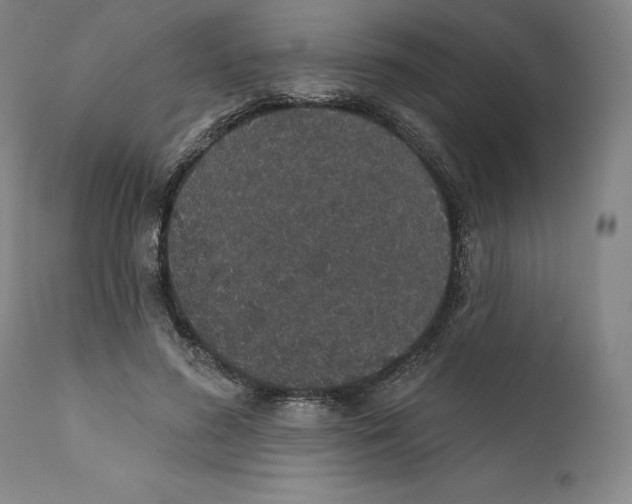 X0000110760596200907131212