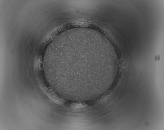 X0000110760597200907131212