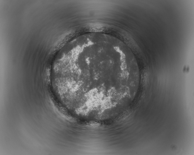 X0000110760598200907131212