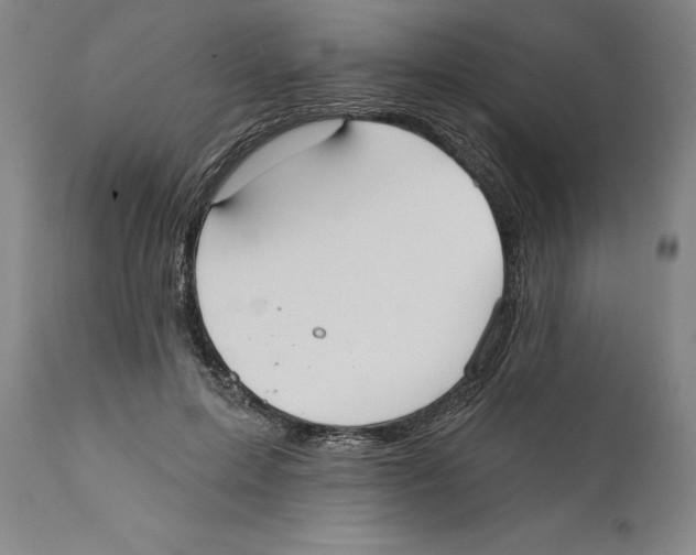 X0000110760599200907131212