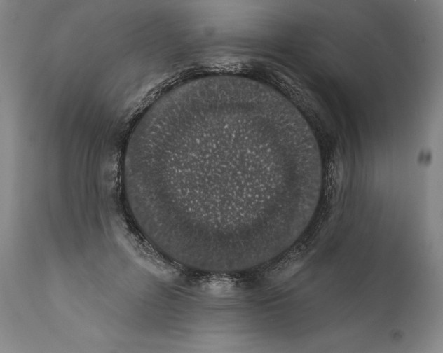 X0000110760600200907131212