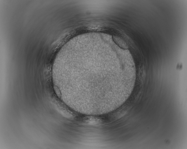 X0000110760601200907131212