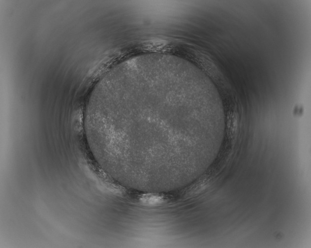 X0000110760602200907131212