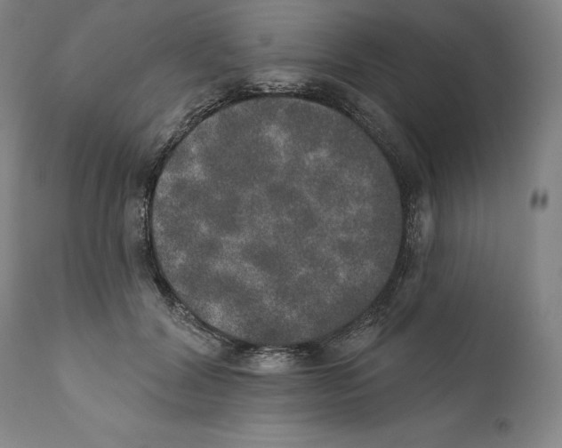 X0000110760604200907131212