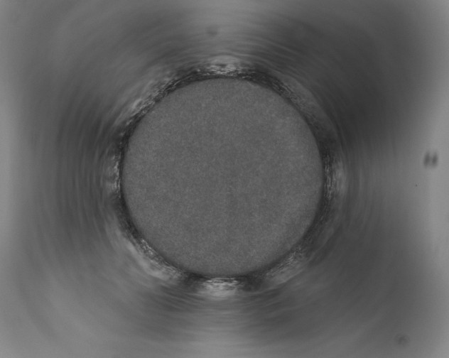 X0000110760606200907131212