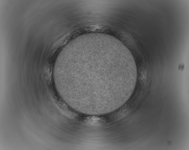 X0000110760607200907131212