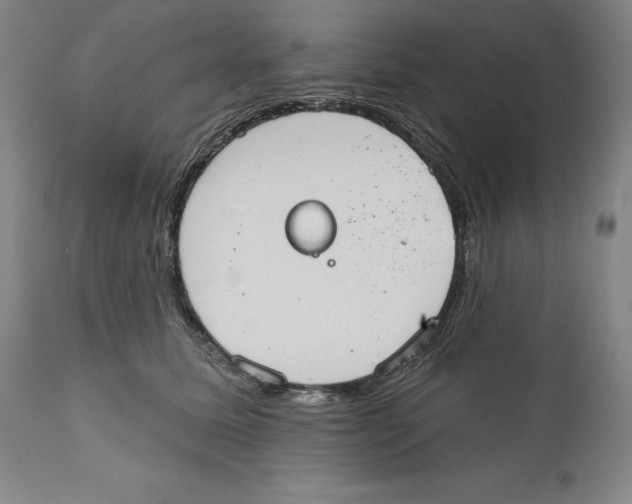 X0000110760611200907131212