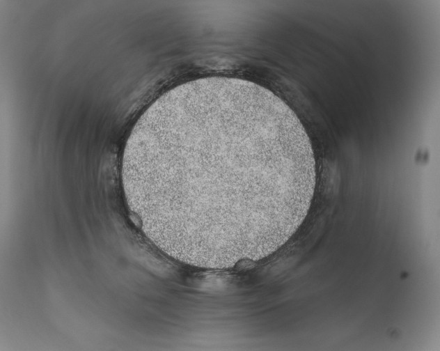 X0000110760612200907131212