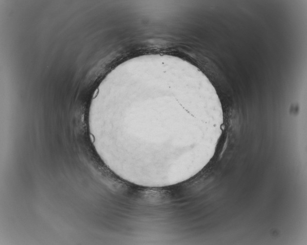 X0000110760615200907131212