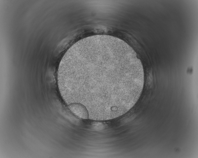 X0000110760616200907131212