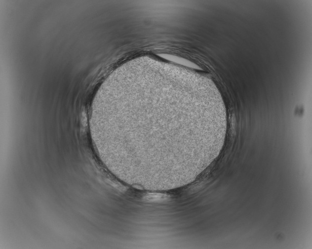 X0000110760617200907131212