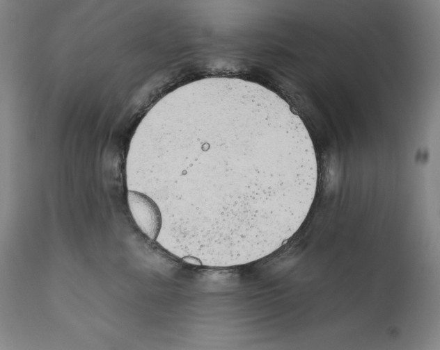 X0000110760619200907131211