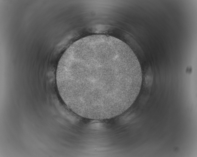 X0000110760620200907131211