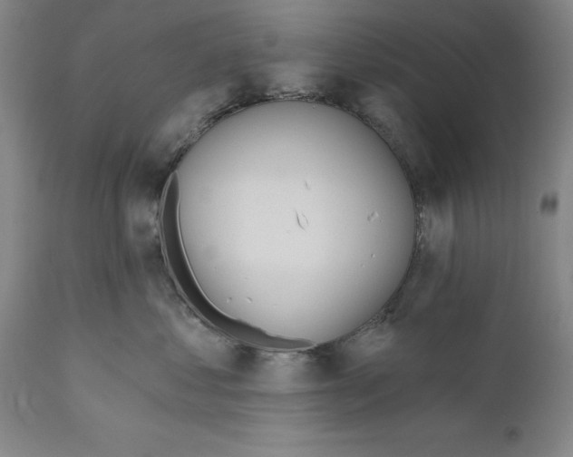 X0000110760621200907131211