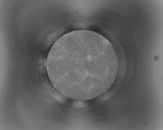 X0000110760624200907131211