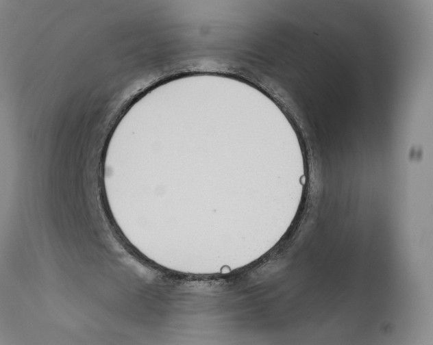 X0000110760625200907131211