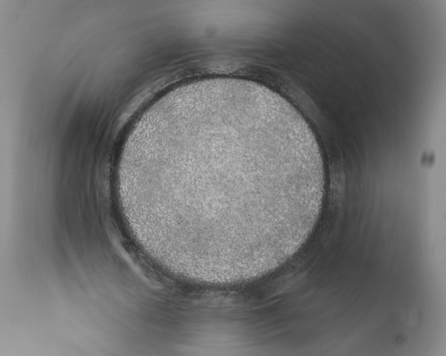 X0000110760626200907131211